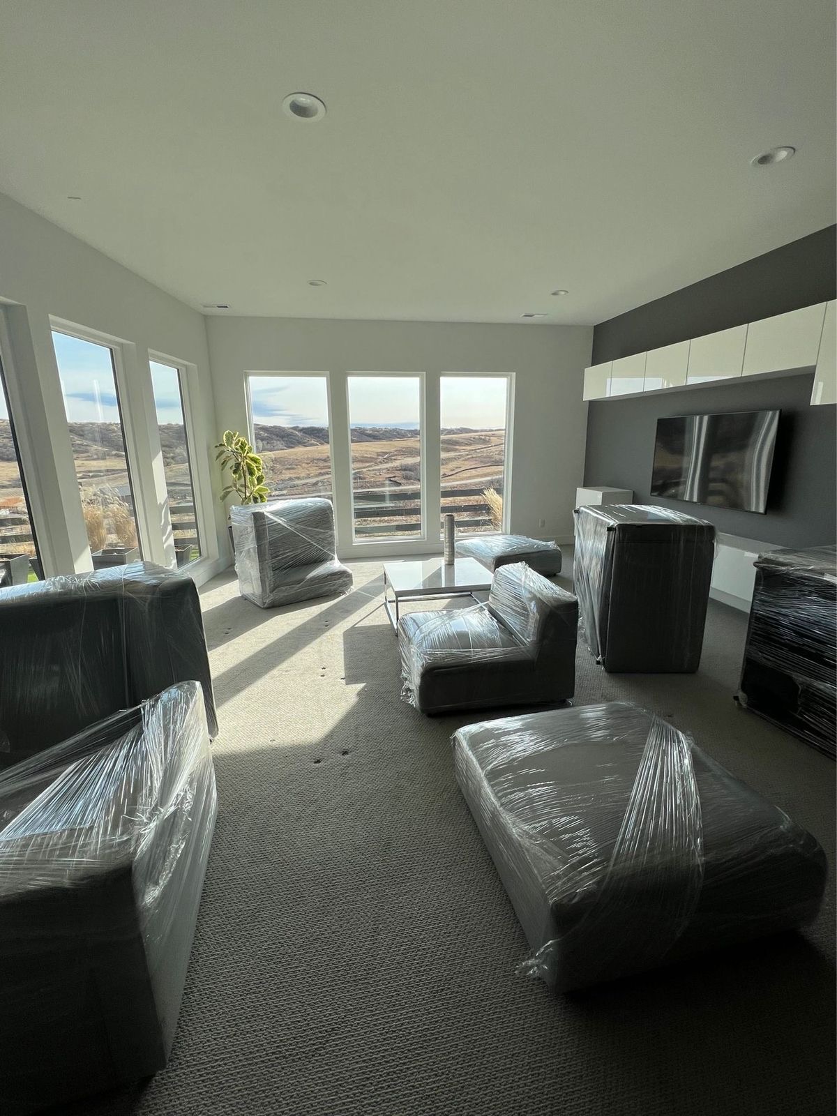 Huge sofa packings